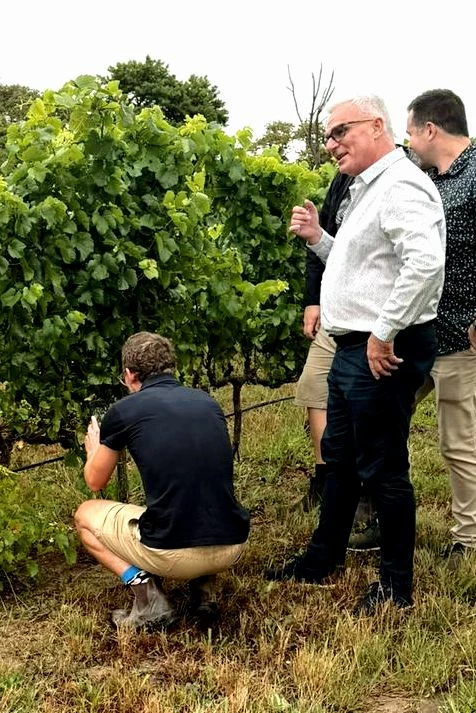 MasterClass Vignoble d'Afrique du Sud